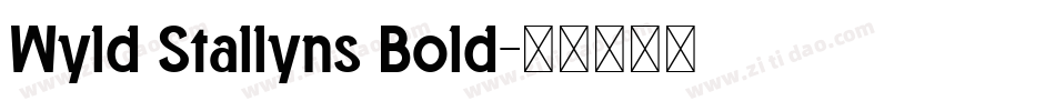 Wyld Stallyns Bold字体转换